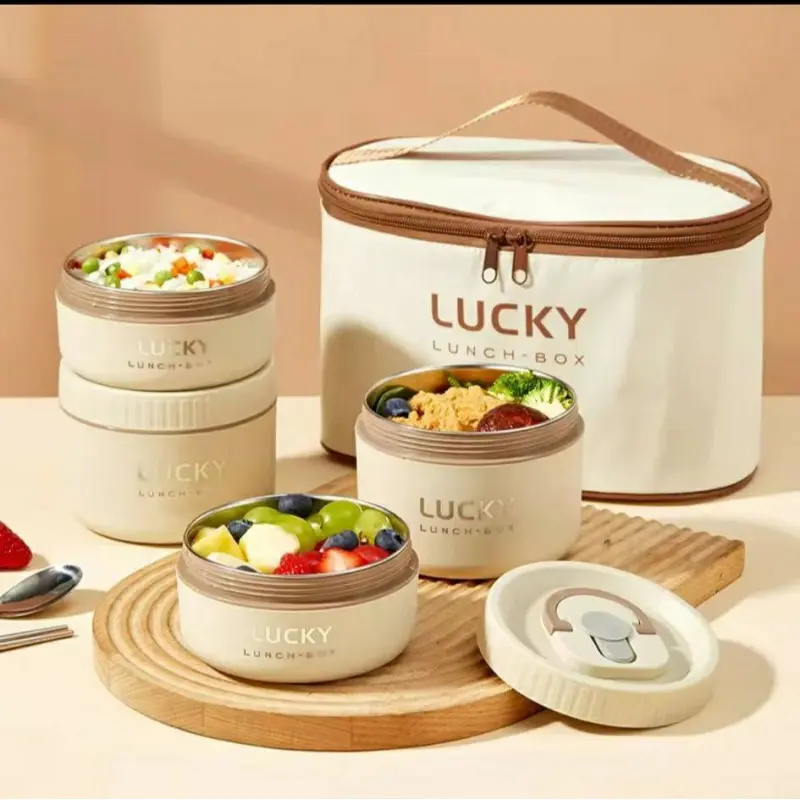 Very Stylish Design 4Pcs Lunch Box With Bag